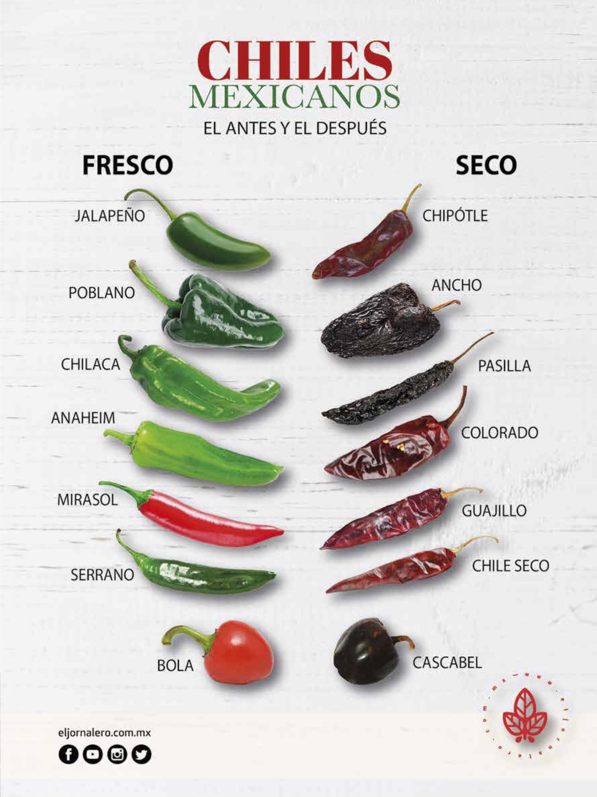 Mexican Chillies Fresh vs Dry